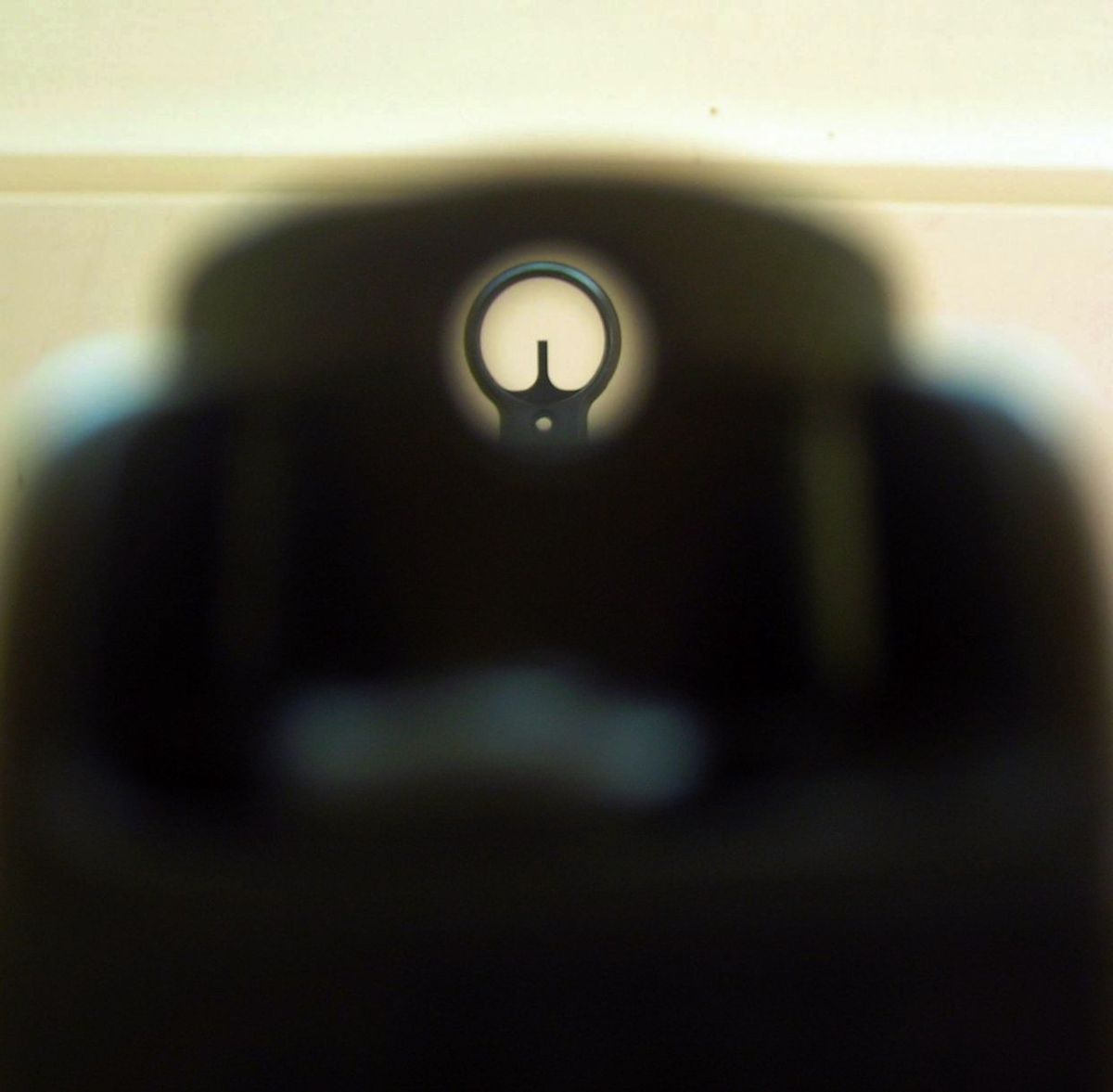 Aperture sight