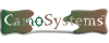CamoSystems