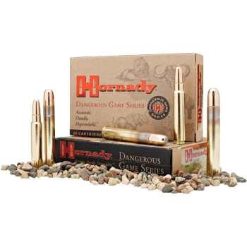 Náboj kulový .375 HaH, 300GR, DGS, 20ks, Hornady
