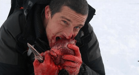 Rádce při výběru survival nože