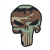 3D PVC nášivka Punisher thunder, 101 INC, Woodland