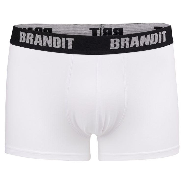 Pánské boxerky s logem, 2 ks, Brandit