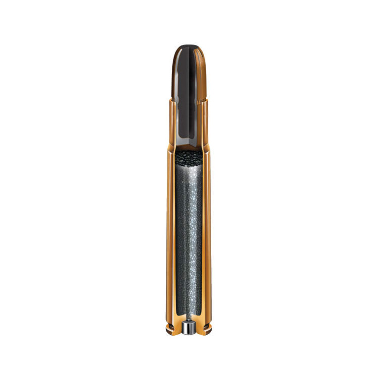 Puškové náboje 9,3x74R SP-RP, Hornady,  Dangerous Game Series, 285 gr, 20 ks