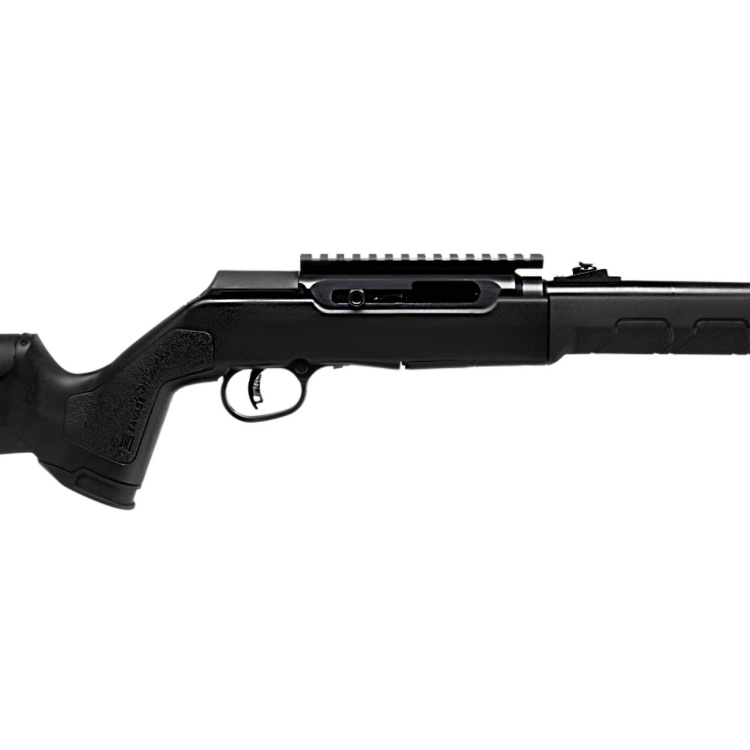 Samonabíjecí malorážka Savage Arms A22 F TakeDown, 22 LR, skládací, 18&quot;