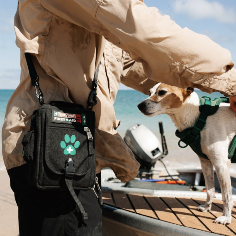 Lékárnička First Aid Kit Pet pro pohyb se psem, Survival