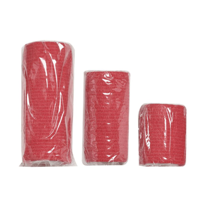 Lékárnička First Aid Kit Pet pro pohyb se psem, Survival