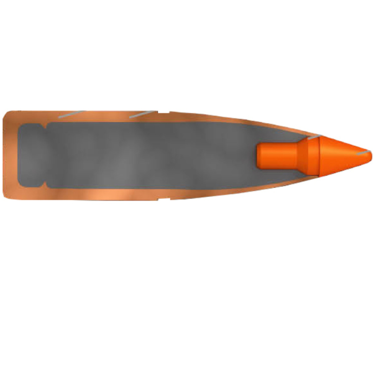 Puškové náboje 308 Win. TIPSTRIKE, 170 gr (11 g), 20 Ks, Norma