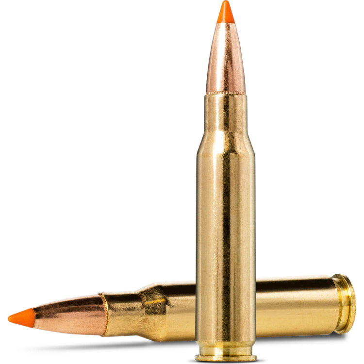 Puškové náboje 308 Win. TIPSTRIKE, 170 gr (11 g), 20 Ks, Norma