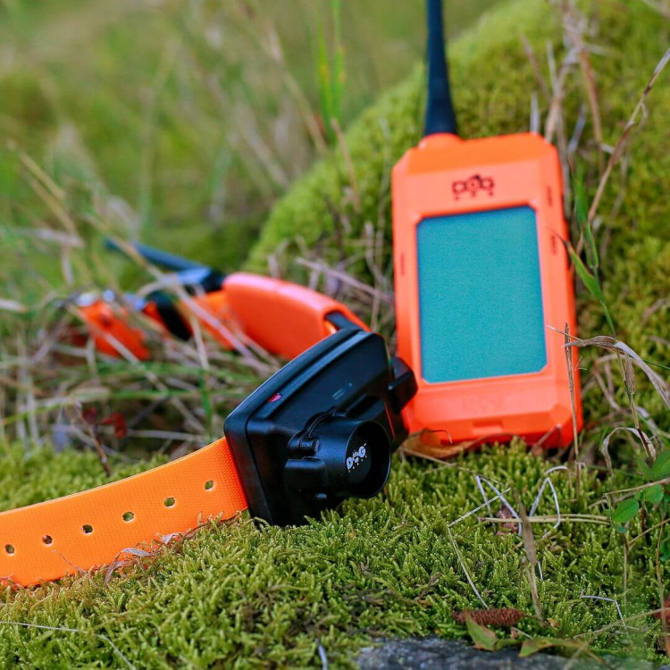 Vyhledávací a výcvikové zařízení pro psy DOG GPS X25B, lokalizace až 19 psů, Dog Trace - Vyhledávací a výcvikové zařízení pro psy DOG GPS X25B, lokalizace až 19 psů, Dog Trace