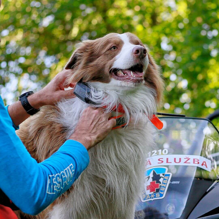 Vyhledávací zařízení pro psy DOG GPS X30, lokalizace až 13 psů, Dog Trace