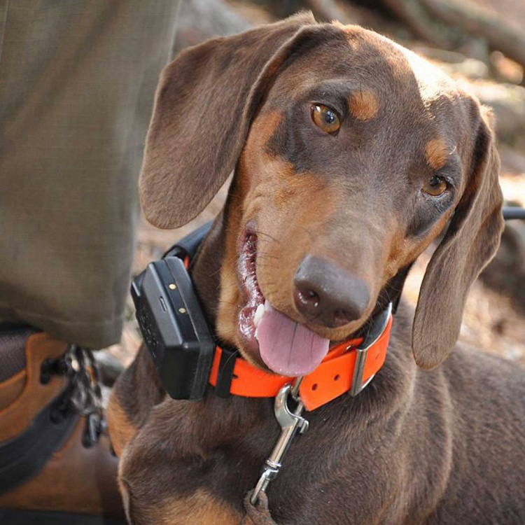 Obojek pro dalšího psa DOG GPS X30T, Dogtrace