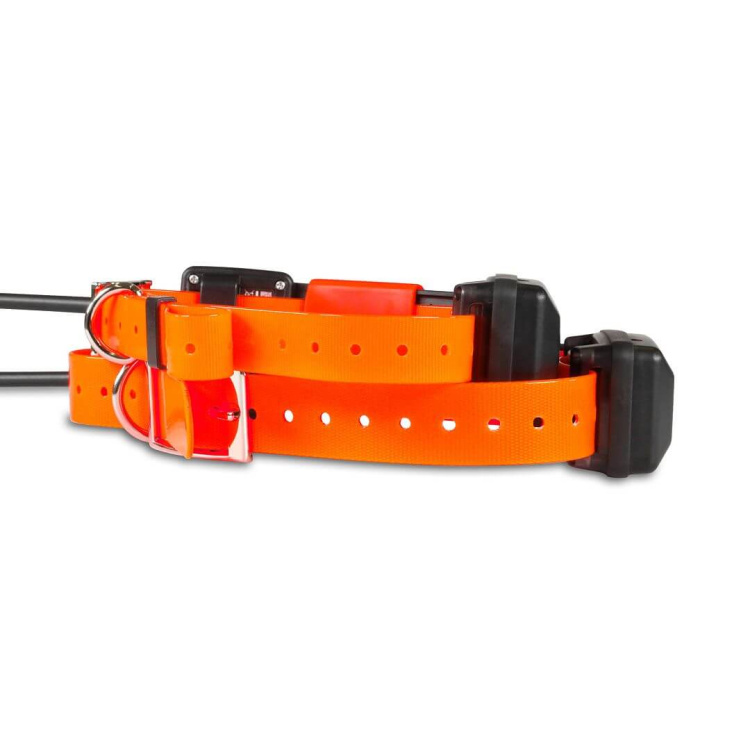 Obojek pro dalšího psa DOG GPS X30T Short, Dog Trace