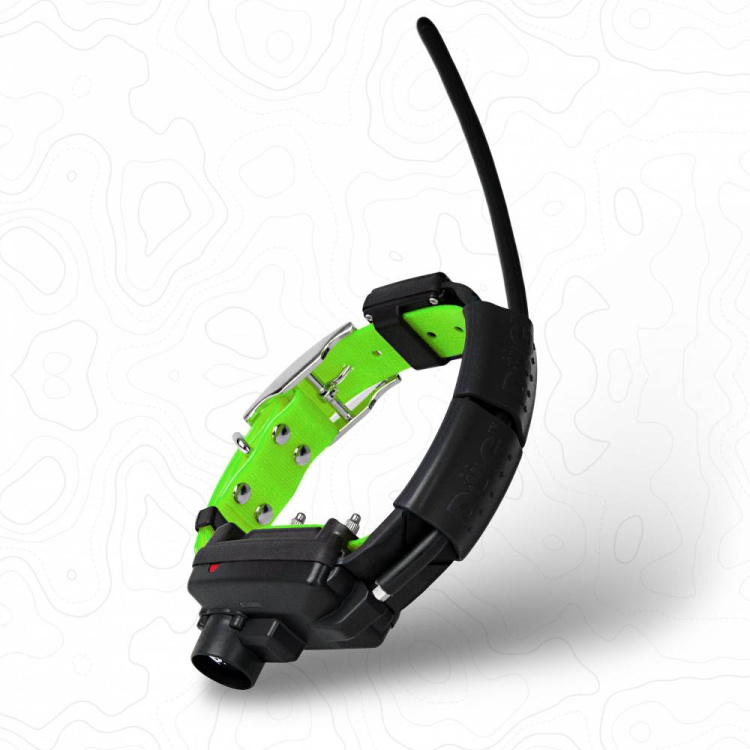 Obojek pro dalšího psa DOG GPS X30TB