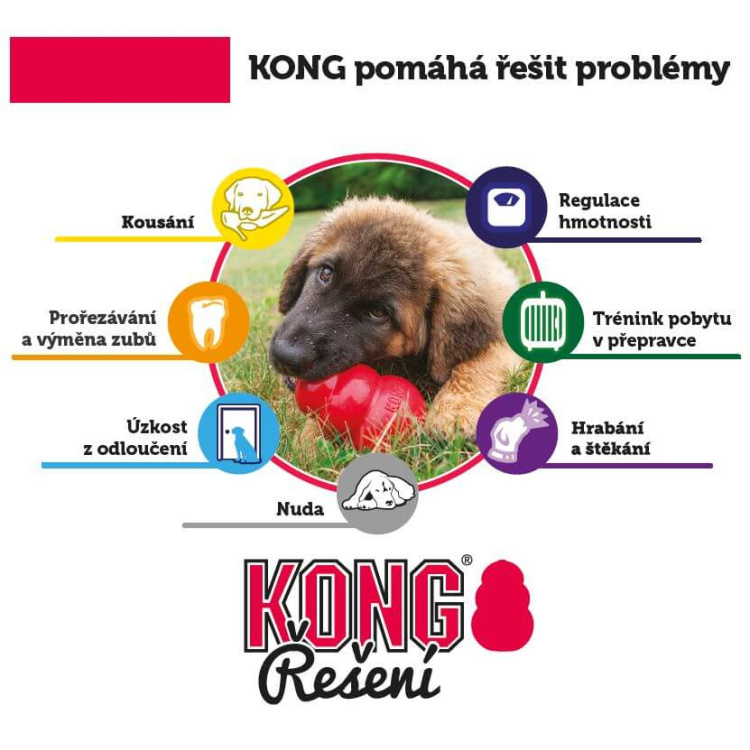 Puppy granát, KONG