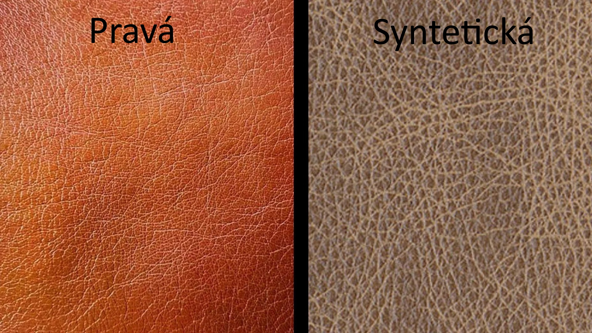 Pravá a syntetická kůže